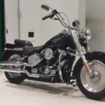 Мотоцикл Harley-Davidson HARLEY FLSTF1450, цвет: черный
