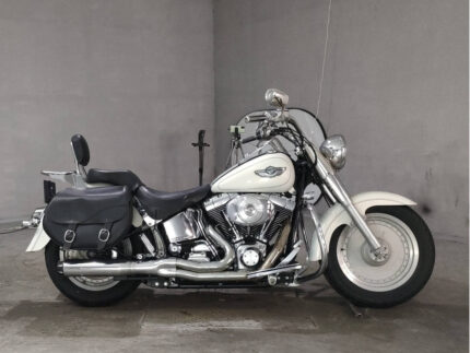 Мотоцикл Harley-Davidson HARLEY FLSTF1450, цвет: бежевый