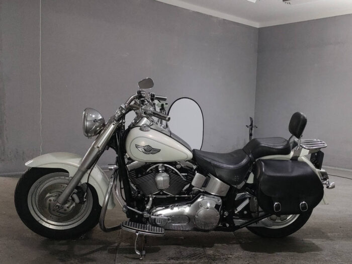 Мотоцикл Harley-Davidson HARLEY FLSTF1450, цвет: бежевый — изображение 2